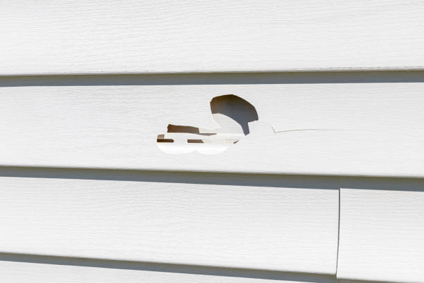 Best Steel Siding Installation  in Harbison Nyon, CA