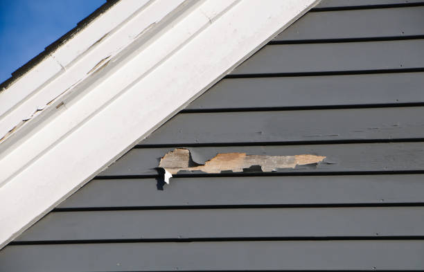 Best Residential Vinyl Siding Installation  in Harbison Nyon, CA