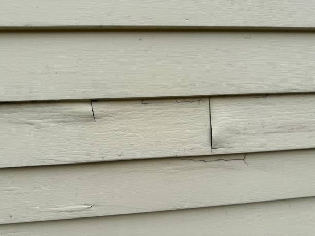 Best Composite Siding  in Harbison Nyon, CA